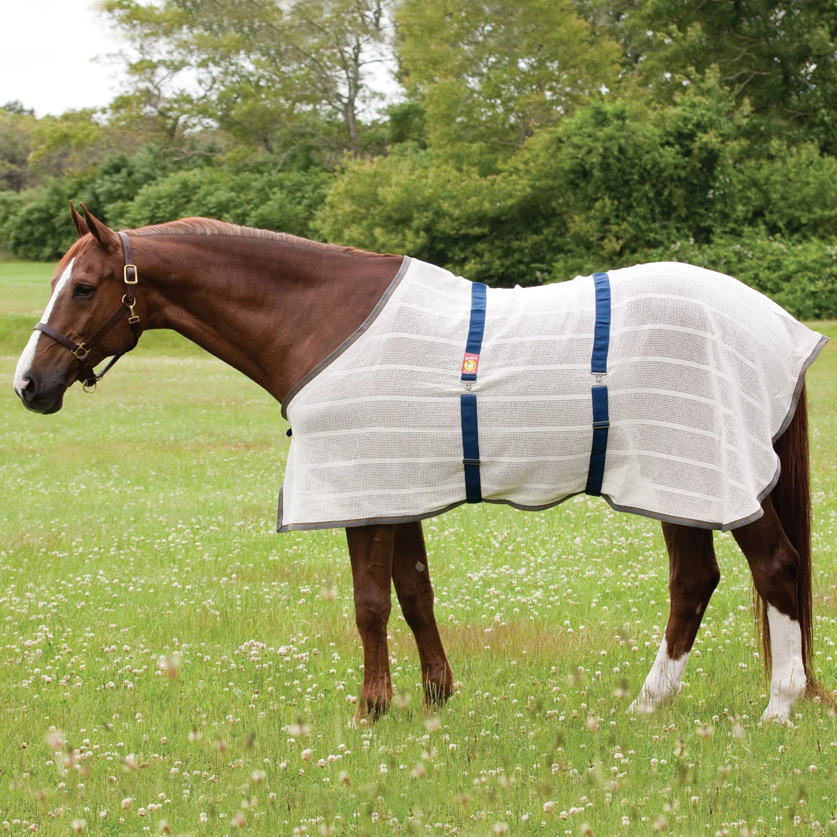 Baker™ Irish Weave Anti-Sweat