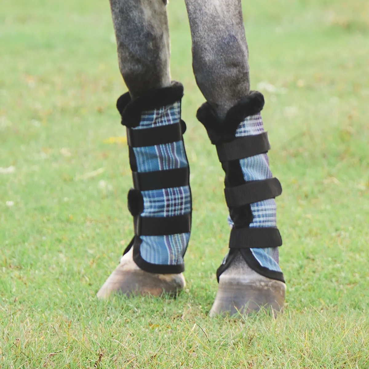 Kensington Fly Boots Made Exclusively For SmartPak