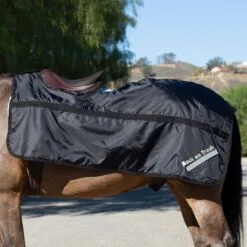 Back On Track Quarter Sheet