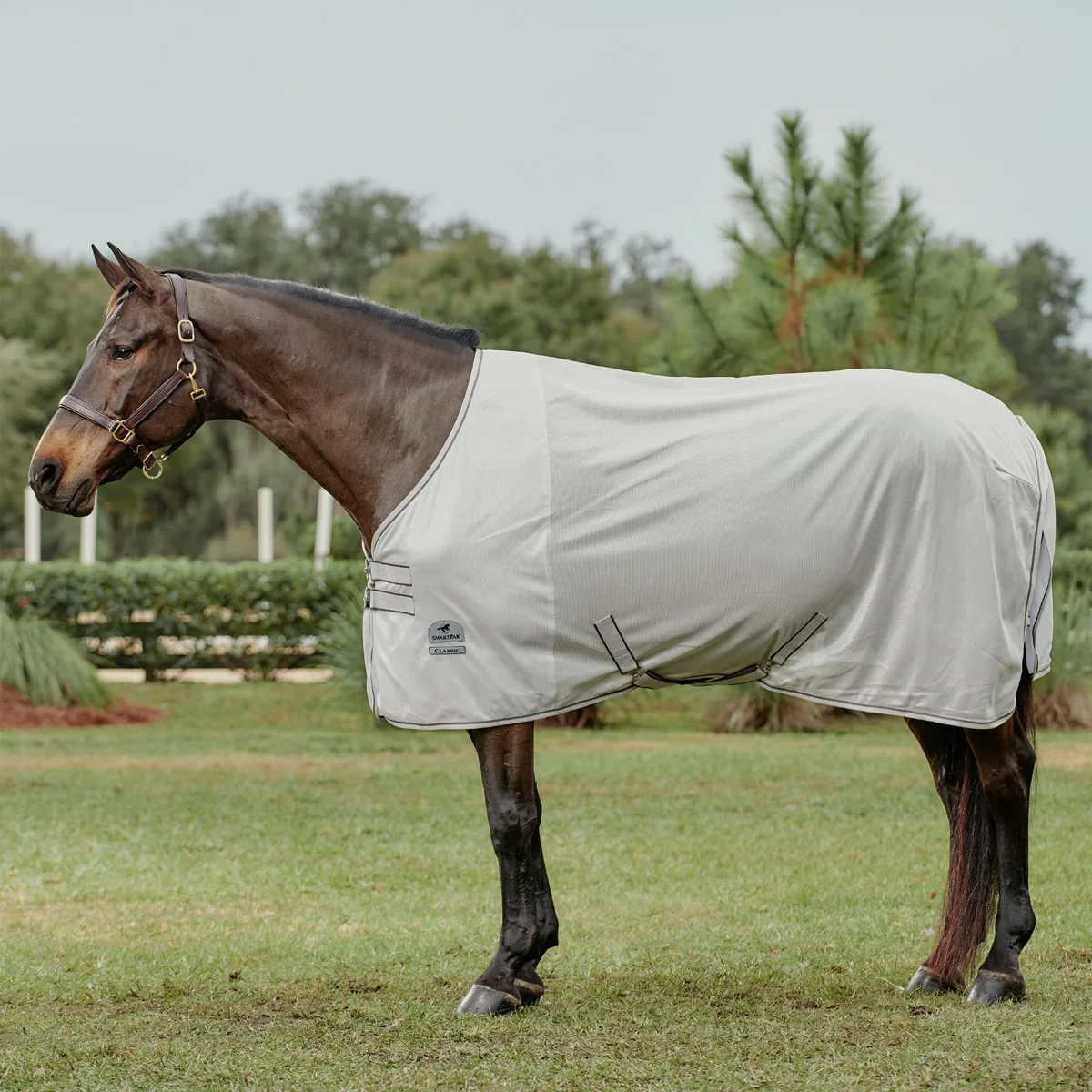 SmartPak Classic Fly Sheet
