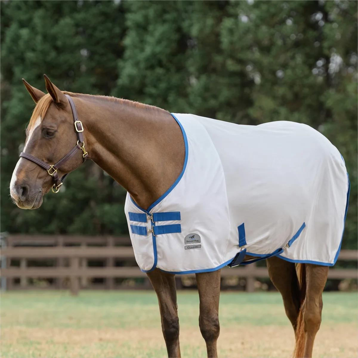SmartPak Classic Fly Sheet - Image 2