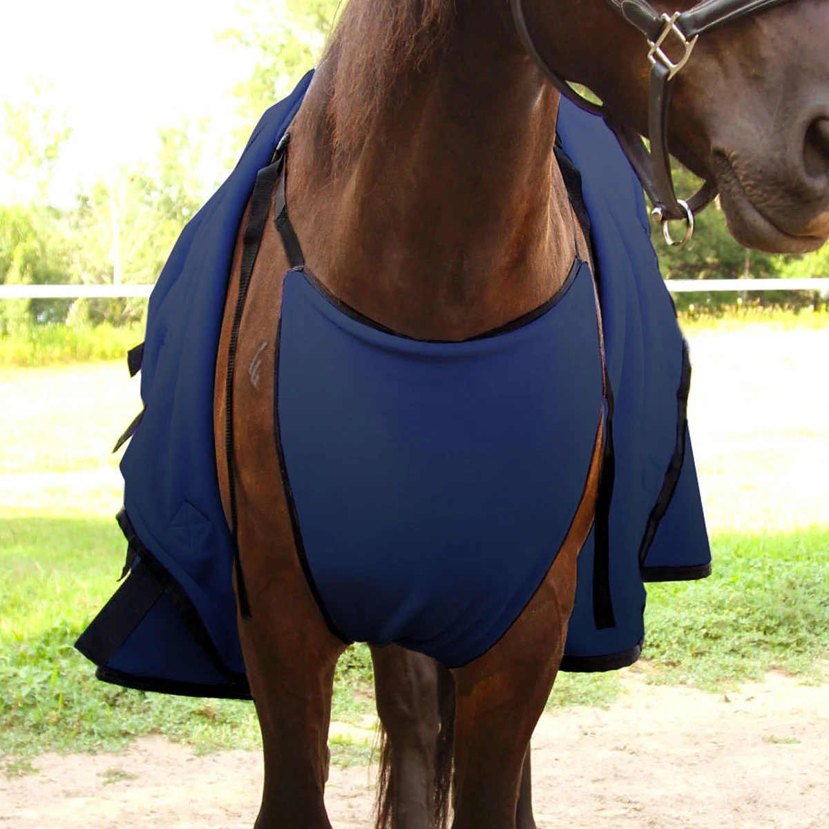 WikSmart Cooler - Image 2