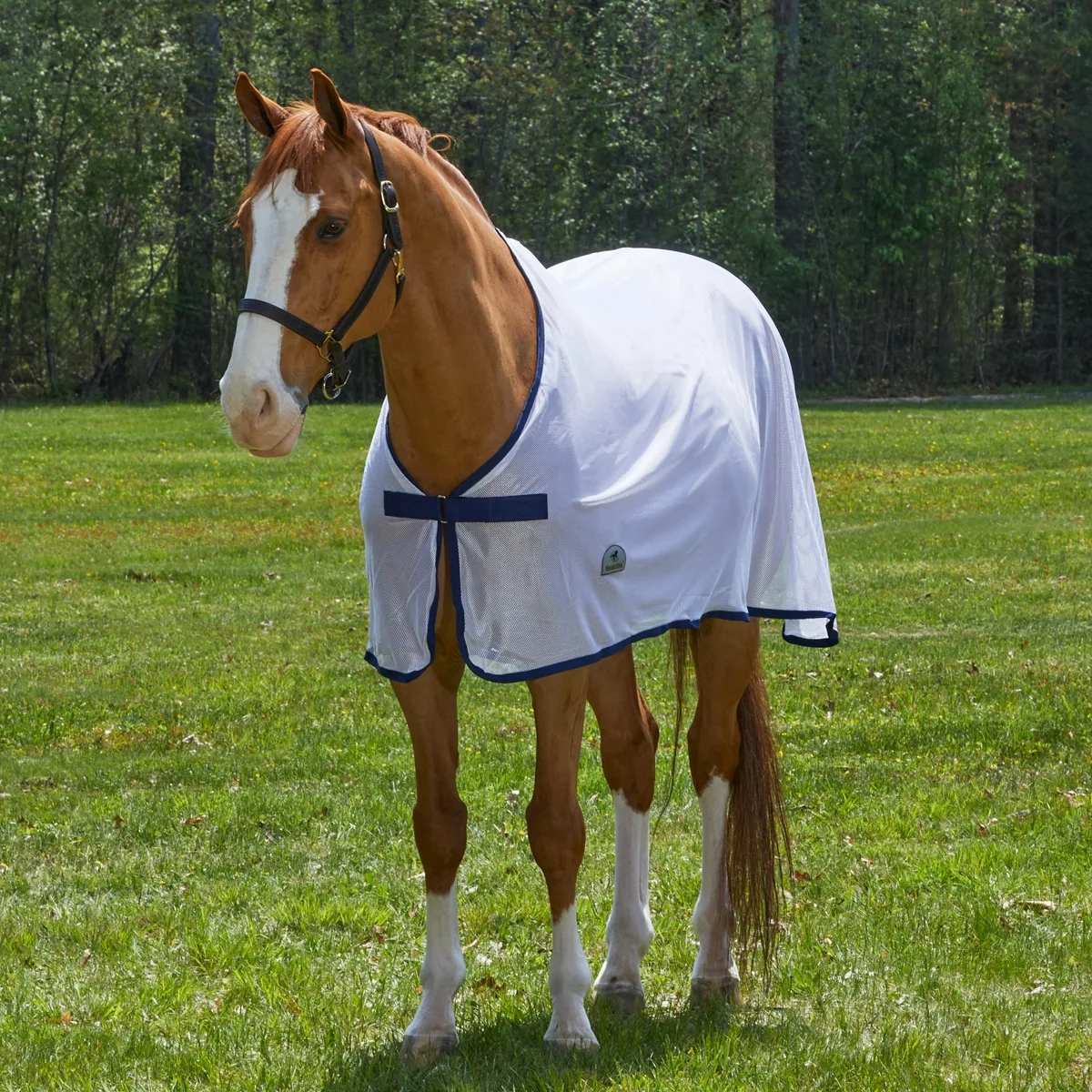 SmartPak Scrim Sheet - Image 3