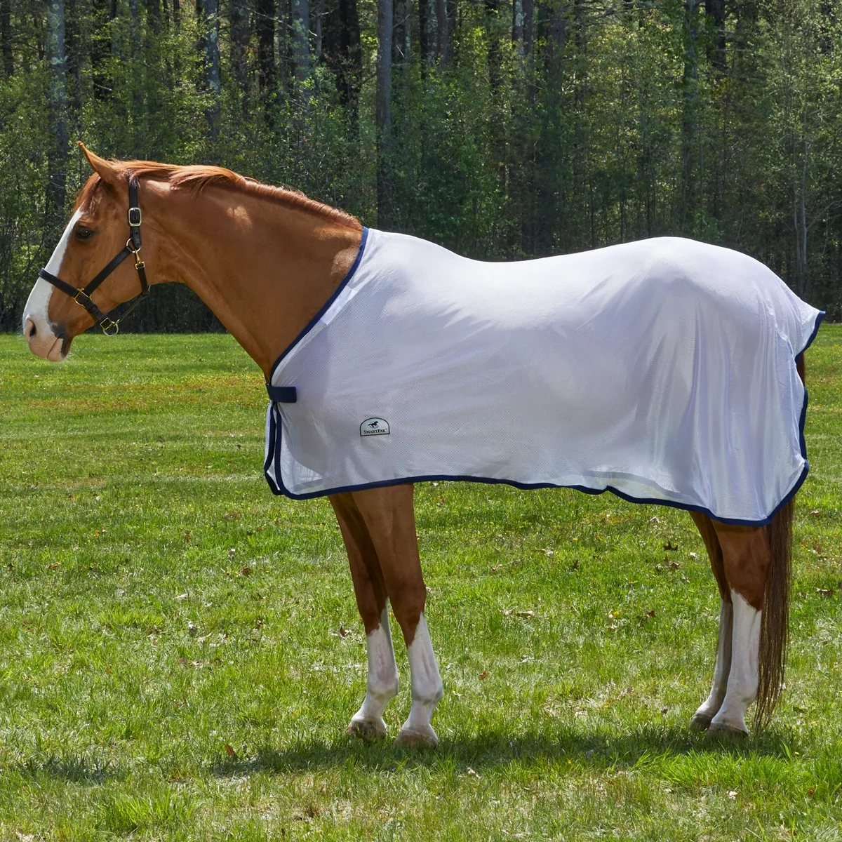 SmartPak Scrim Sheet - Image 4