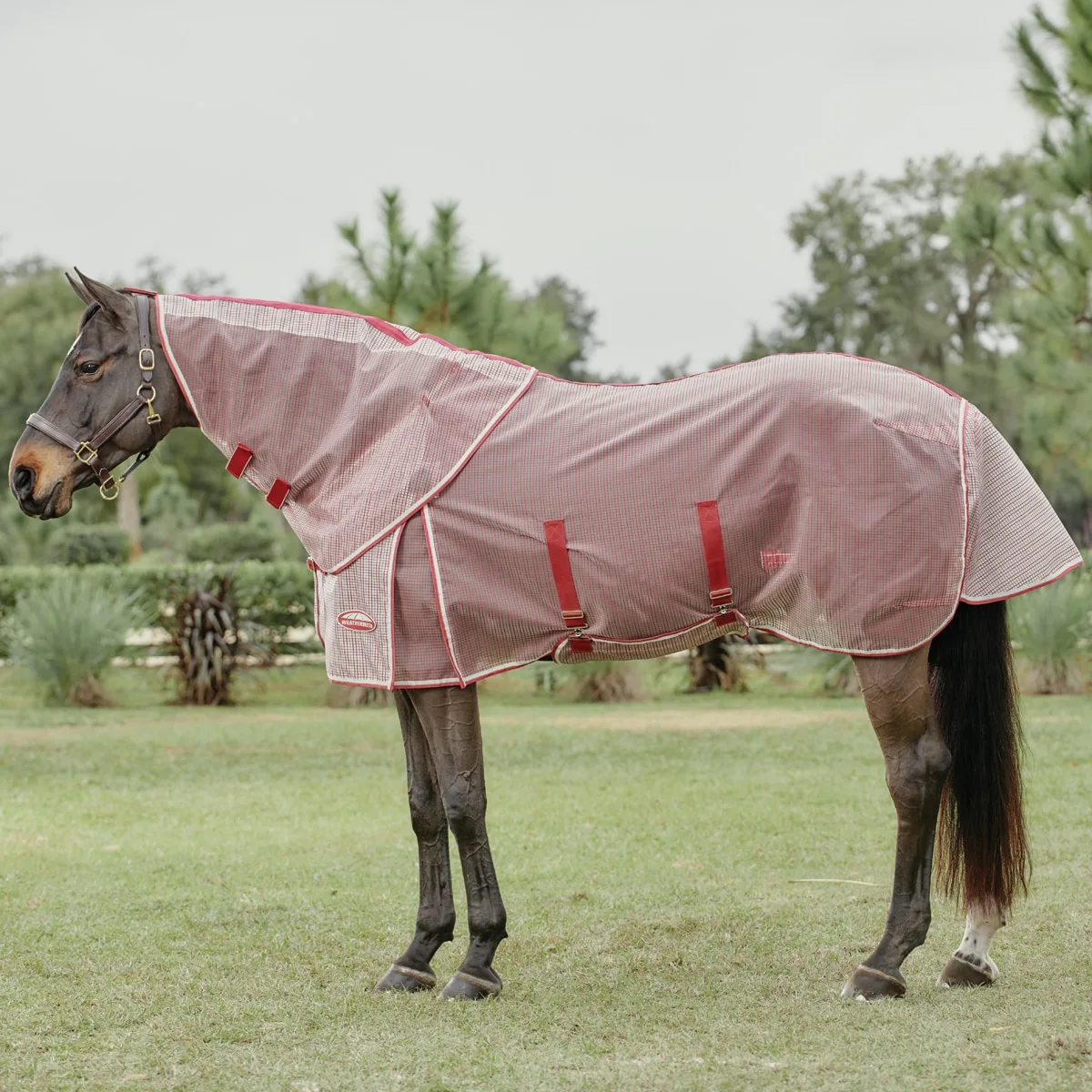 WeatherBeeta ComFiTec Ripshield Plus Detach-A-Neck Fly Sheet - Image 5