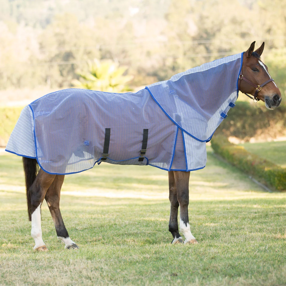 WeatherBeeta ComFiTec Ripshield Plus Detach-A-Neck Fly Sheet - Image 3