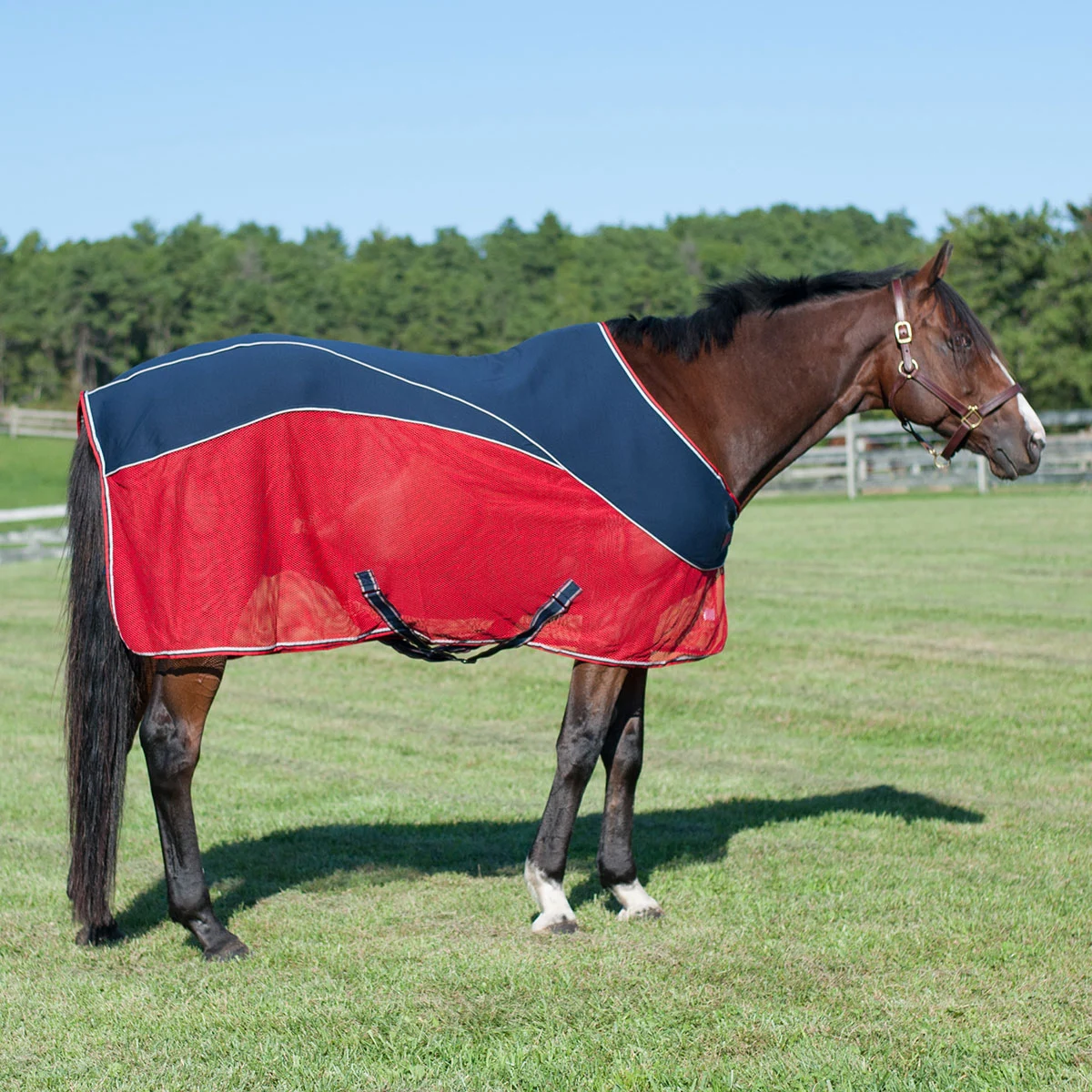 Horseware Ireland Rambo® Sport Cooler - Image 3