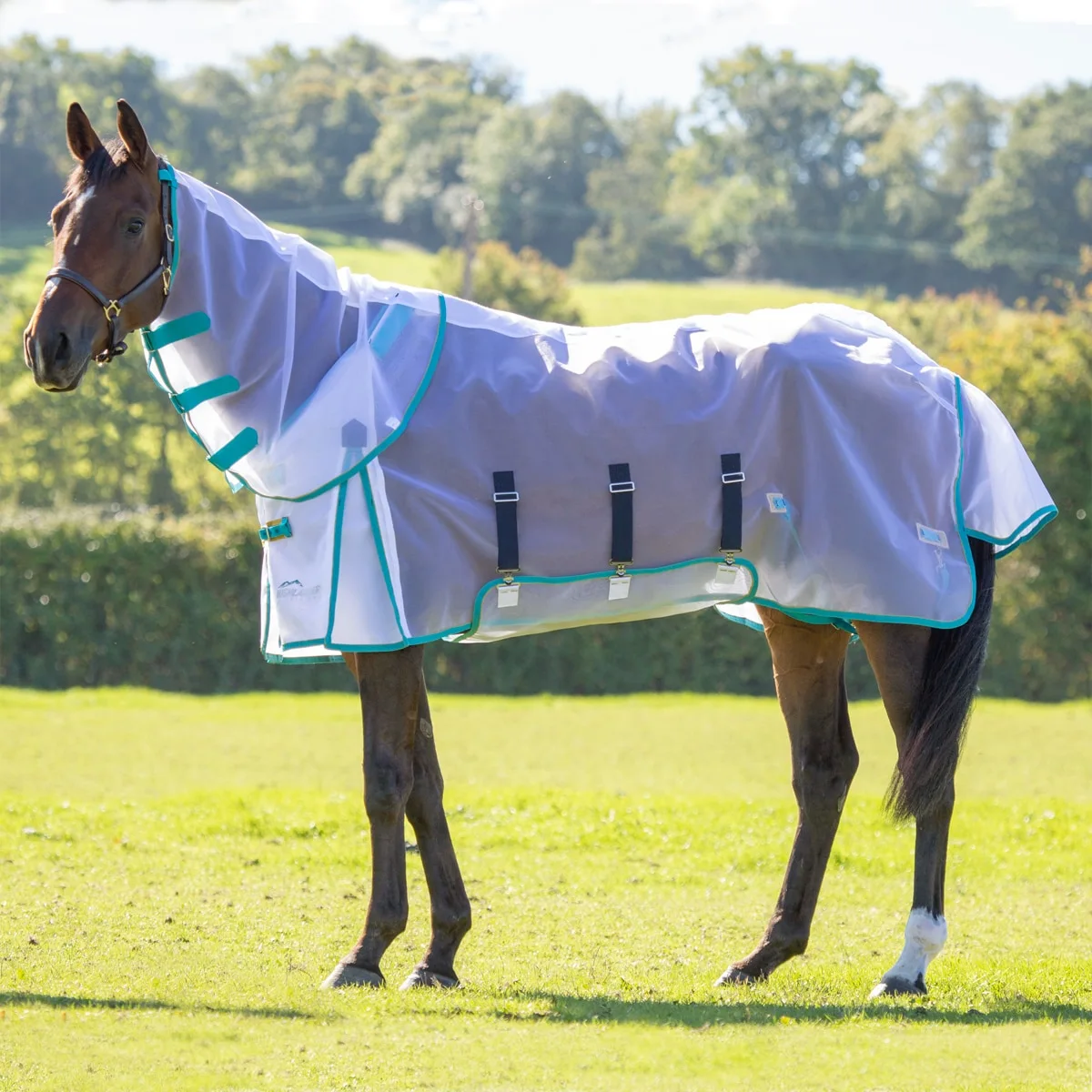 Shires Highlander Fine Mesh Fly Sheet & Neck Set - Image 2
