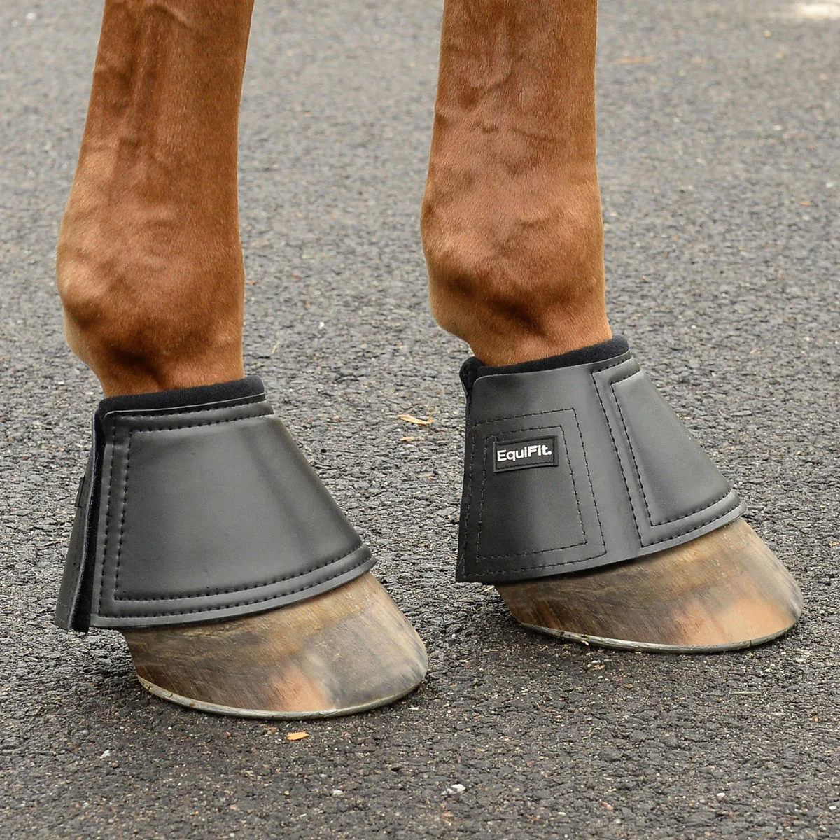 EquiFit Essential BellBoot - Image 3