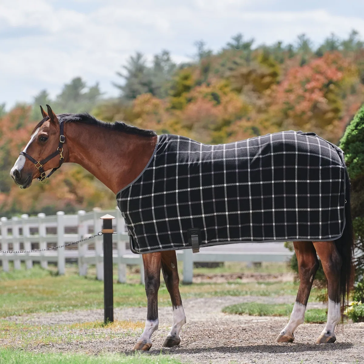 SmartPak Deluxe Fleece Cooler - Image 2
