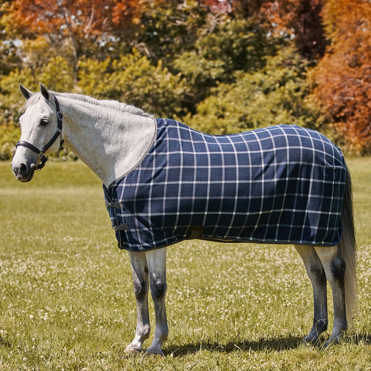 SmartPak Deluxe Fleece Cooler - Image 4