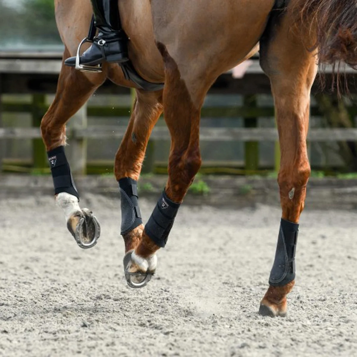 Equilibrium Tri-Zone Brushing Boots - Image 3
