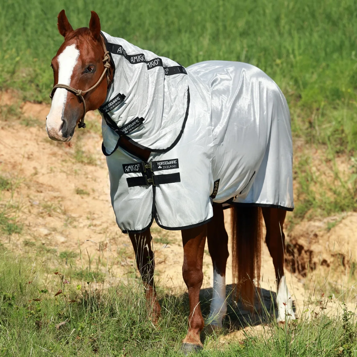 Horseware Ireland Amigo® Stock Horse Fly Sheet
