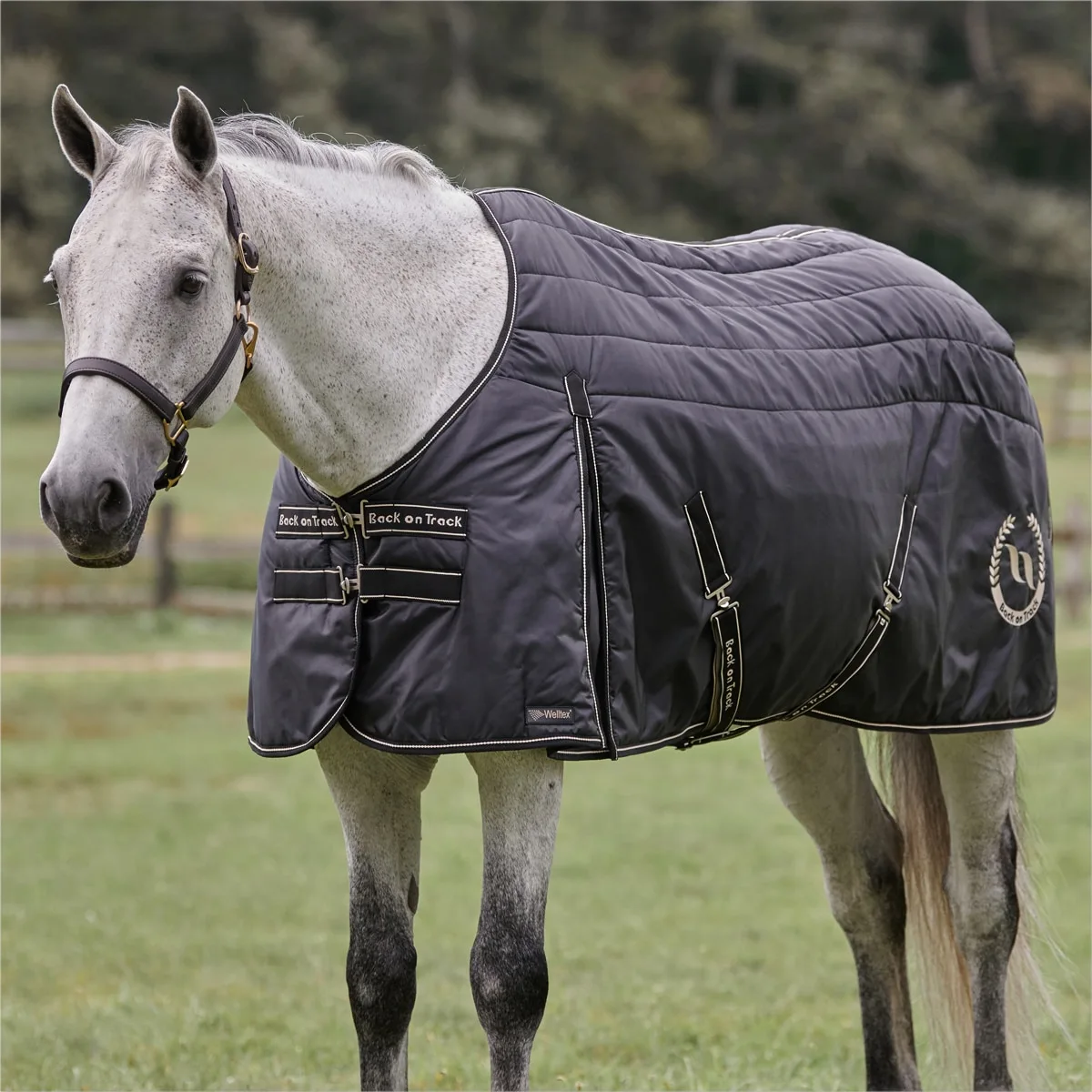 Back On Track Millie Stable Blanket