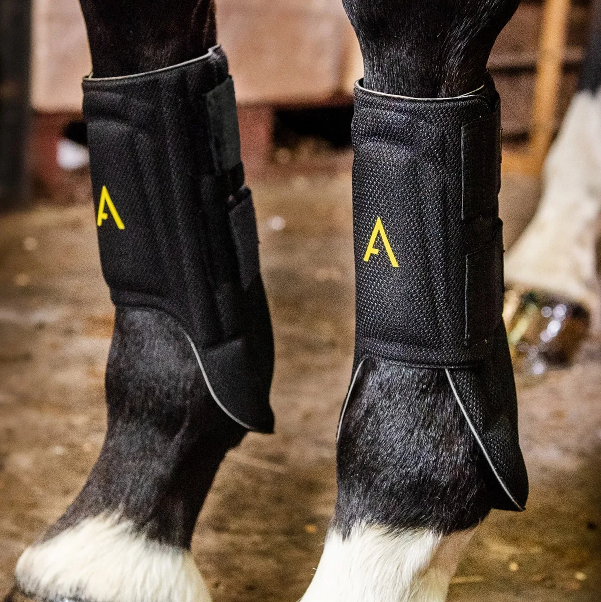 Horseware Ireland Horseware Adagio Boots - Image 3