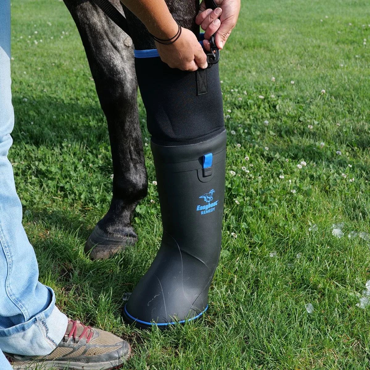 EasyBoot Ultimate Remedy