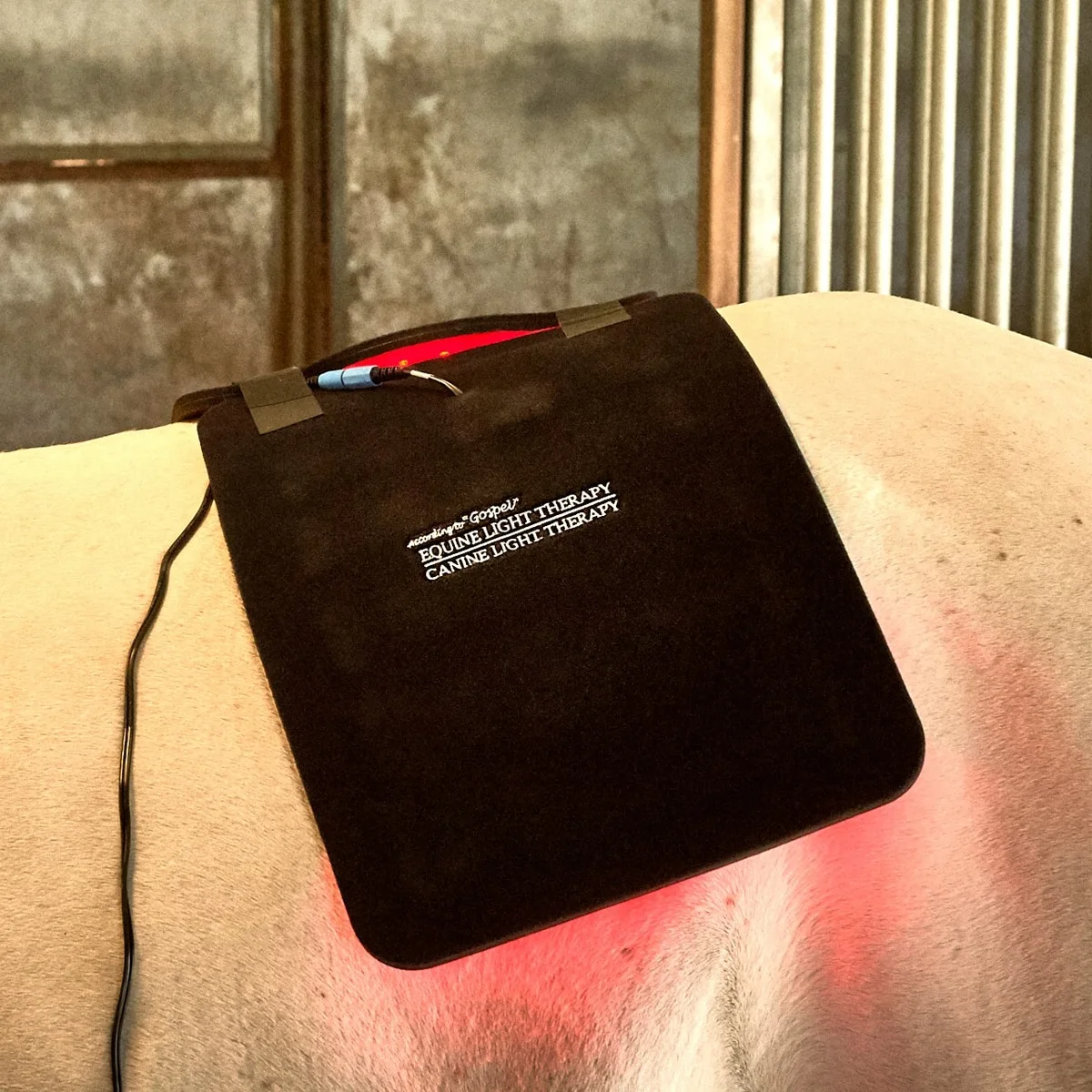 Equine Light Therapy Large Light Therapy Pad - Image 2