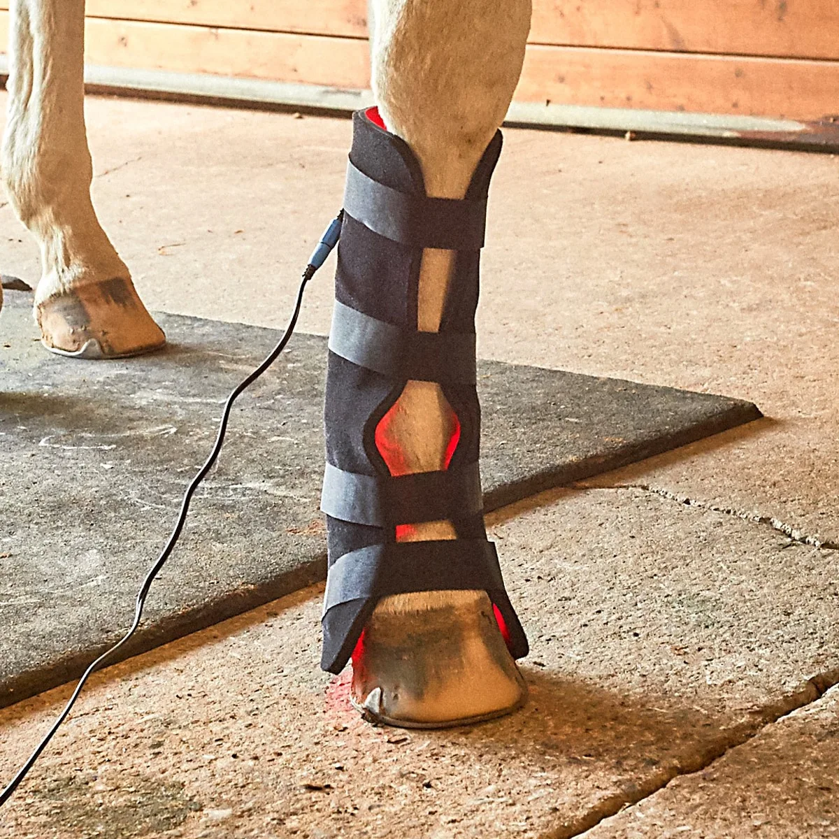 Equine Light Therapy Large Light Therapy Pad - Image 3