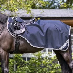 LeMieux Arika Exercise Sheet