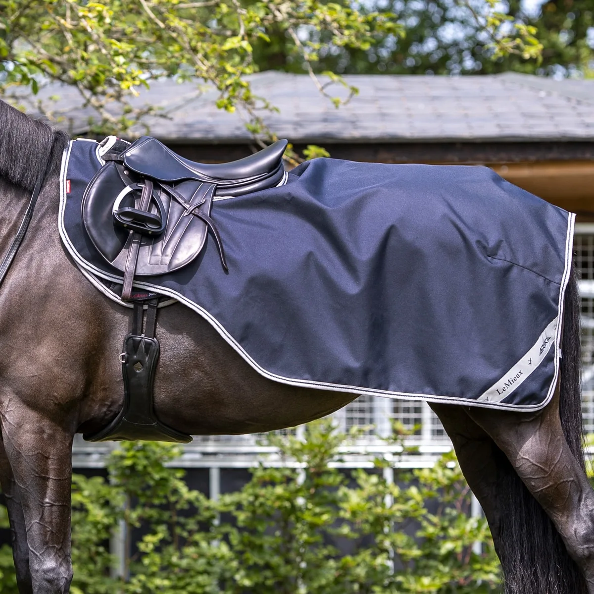 LeMieux Arika Exercise Sheet