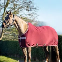 LeMieux Jersey-Tek Rug