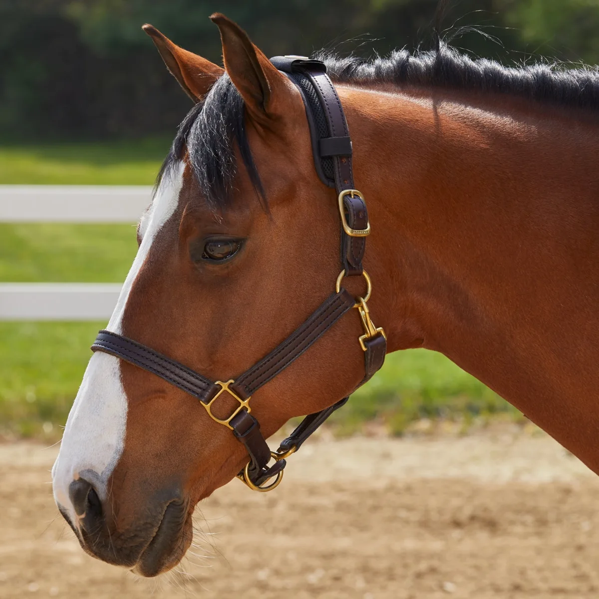 SmartTherapy® ThermoBalance® Poll Pad - Image 5