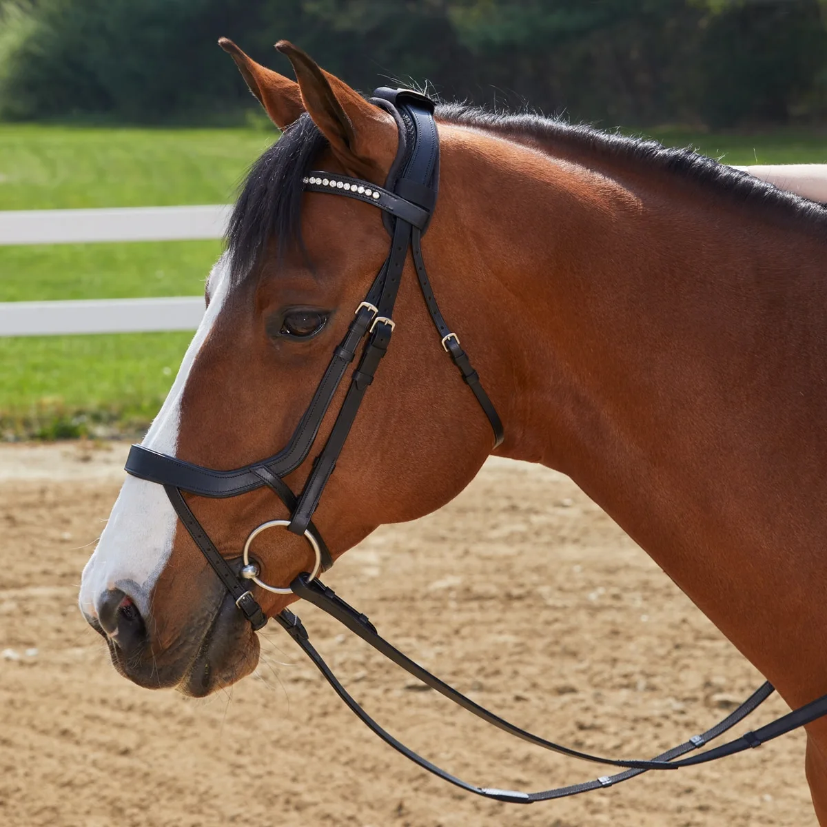 SmartTherapy® ThermoBalance® Poll Pad - Image 3